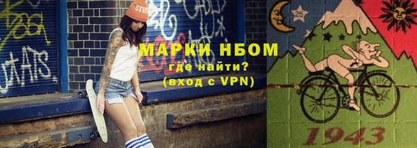 индика Баксан