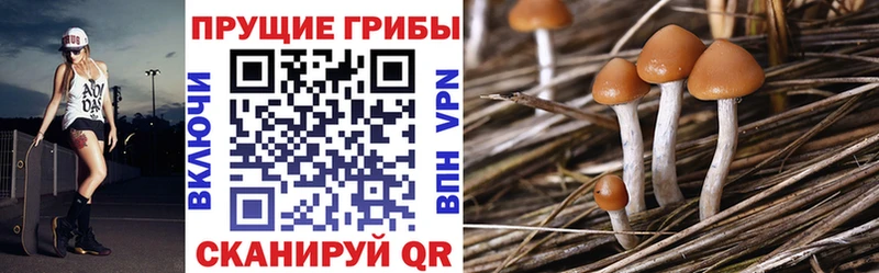 Галлюциногенные грибы прущие грибы  Вуктыл 